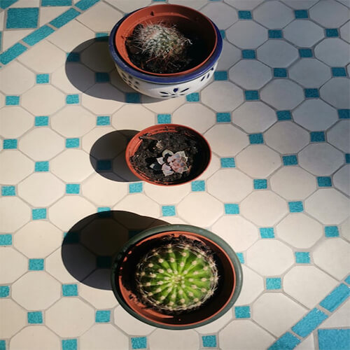 product-pic11